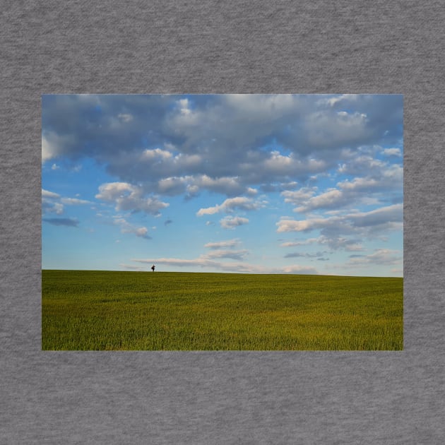 walking a green wheat field by psychoshadow